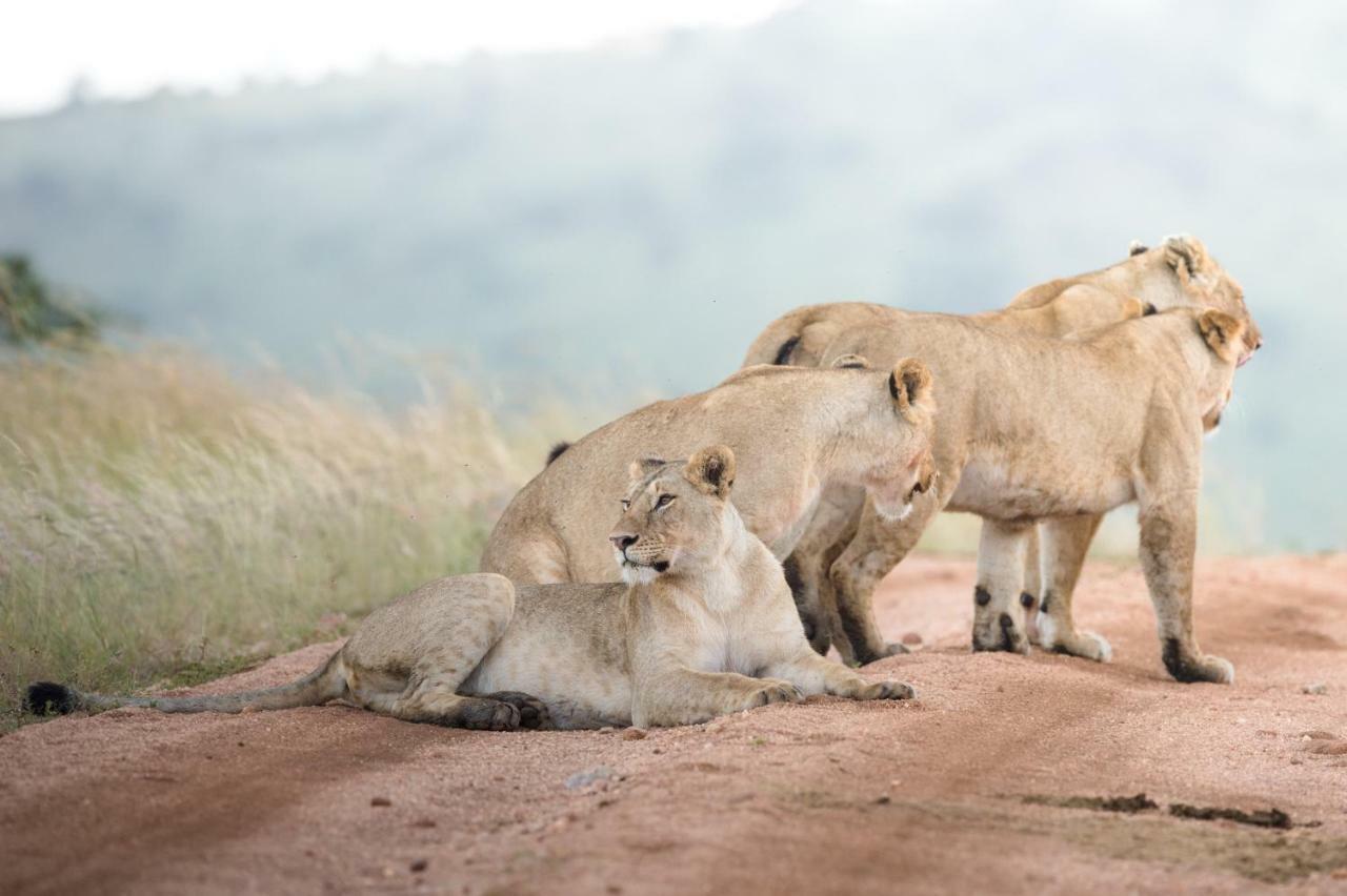 Taasa Lodge Serengeti Dış mekan fotoğraf
