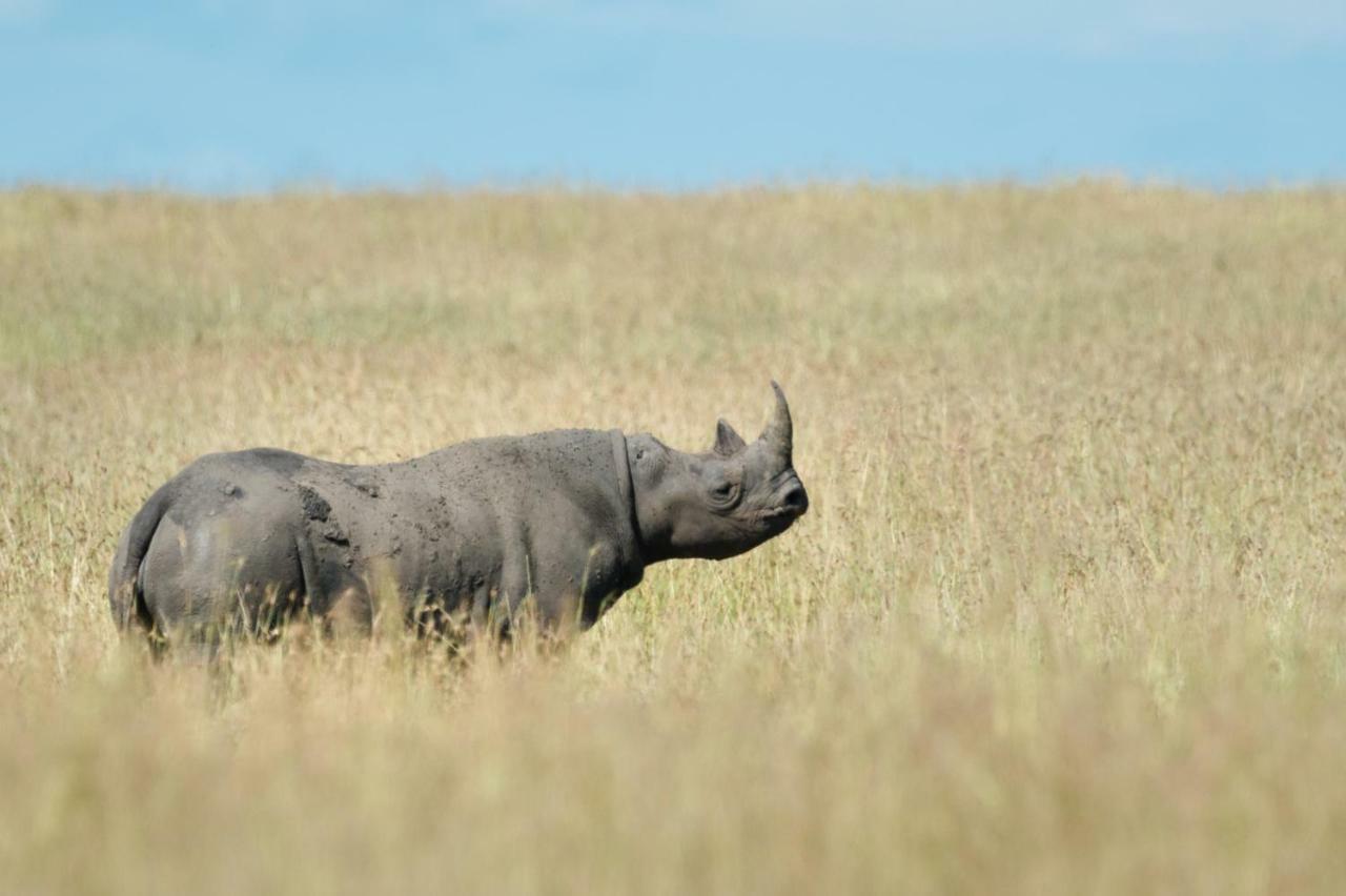 Taasa Lodge Serengeti Dış mekan fotoğraf